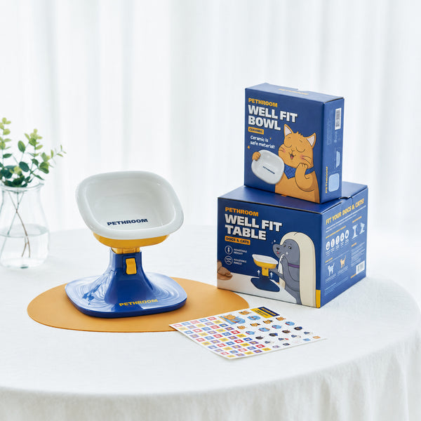 Elevated Ceramic Pet Bowl
