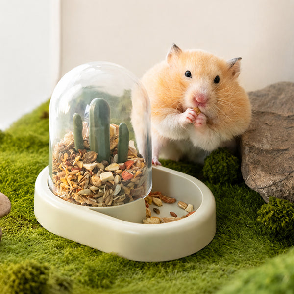 Gravity Feeder Water Bottle
