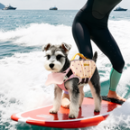 star float dog life jacket