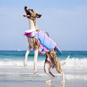 Pet Life Jacket Swim Vest
