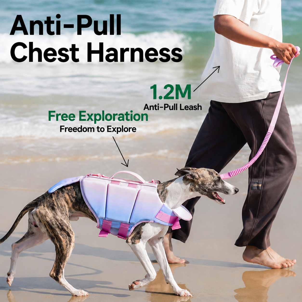 Pet Life Jacket Swim Vest