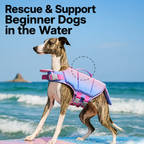 Pet Life Jacket Swim Vest