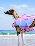 Pet Life Jacket Swim Vest