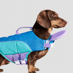 Dog Life Jacket Head-Assist Float