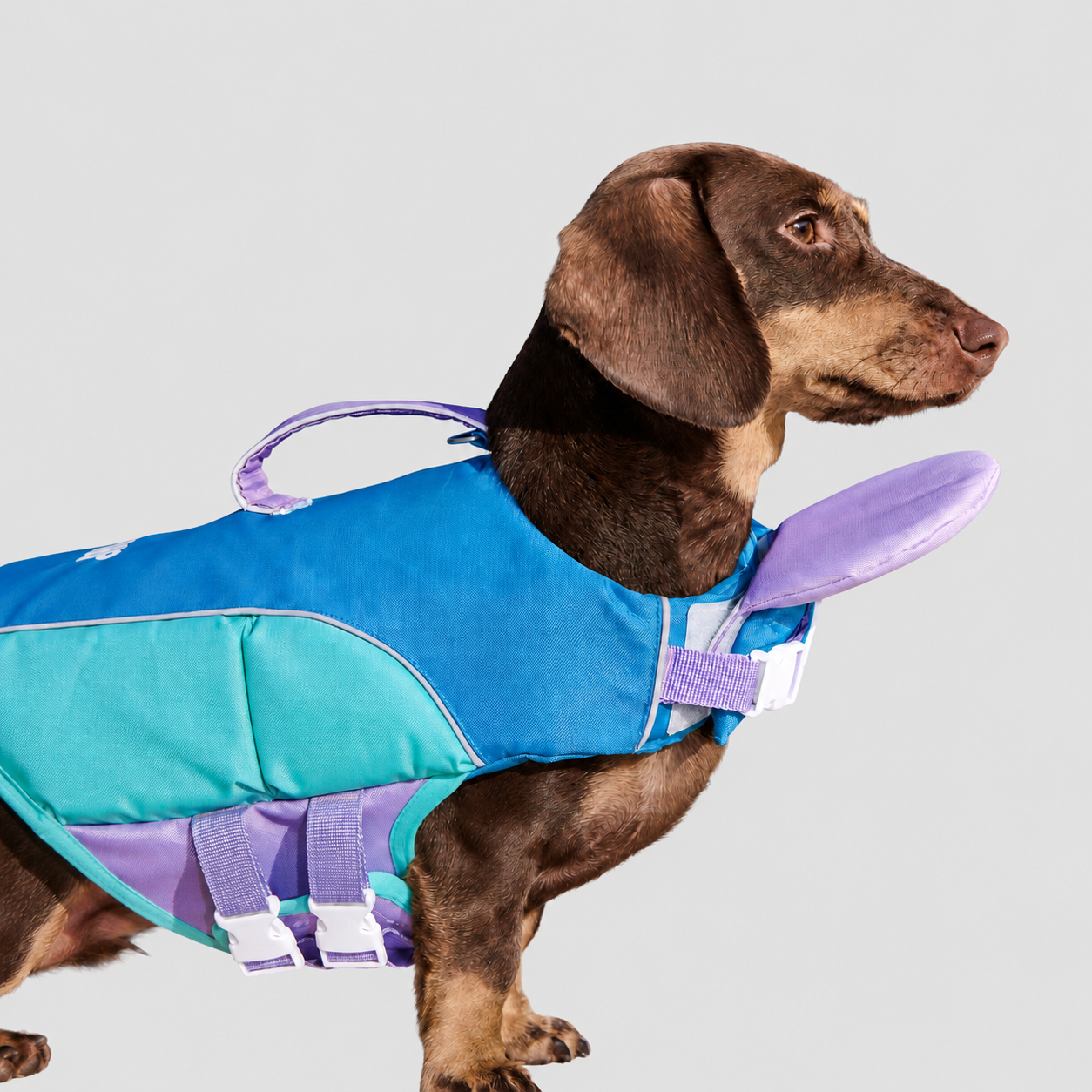 Dog Life Jacket Head-Assist Float