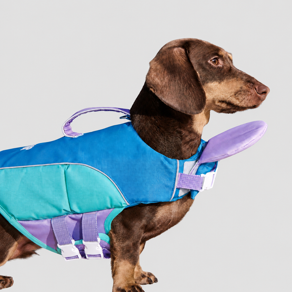 Dog Life Jacket Head-Assist Float