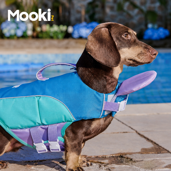 Dog Life Jacket Head-Assist Float