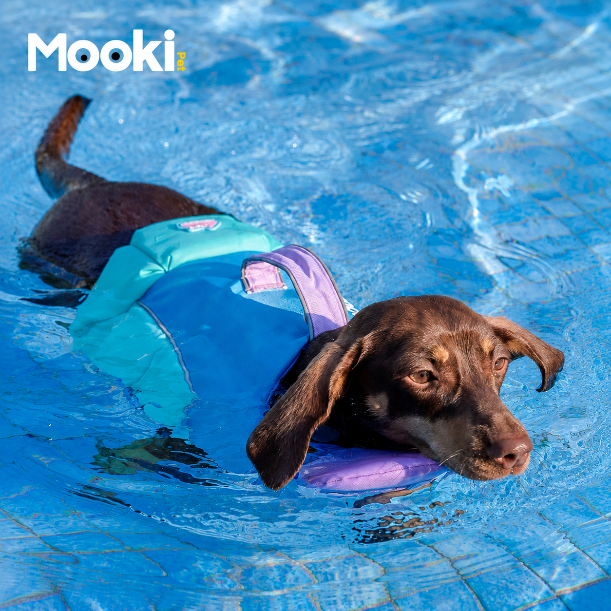 Dog Life Jacket Head-Assist Float