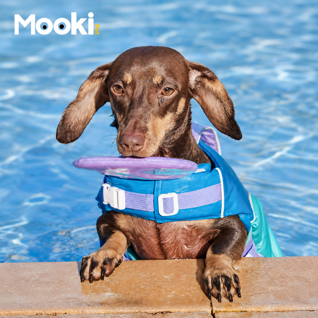 Dog Life Jacket Head-Assist Float
