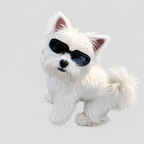 UV400 Dog Goggles Windproof
