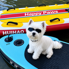 UV400 Dog Goggles Windproof