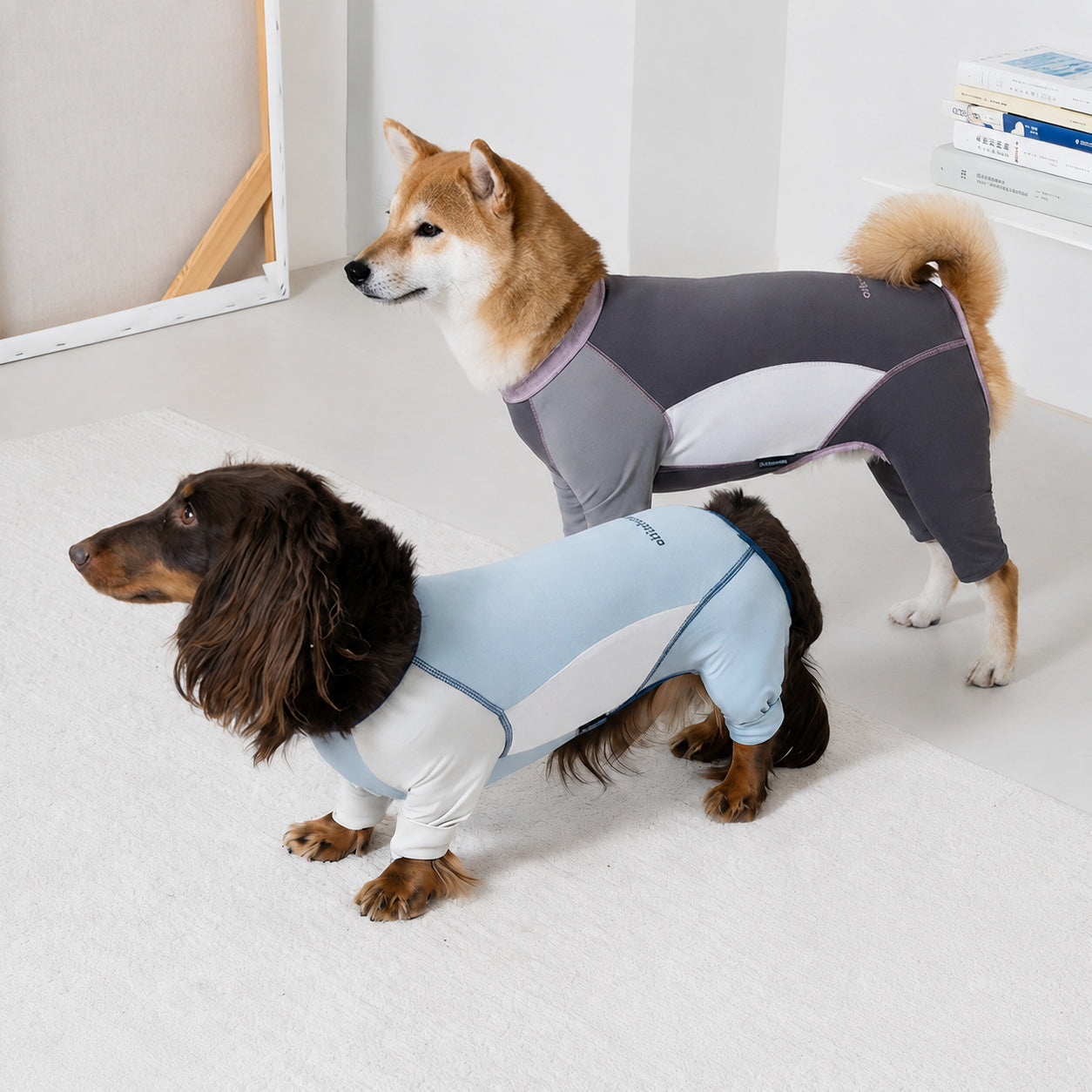Cooling Full-body Dog Sunsuit
