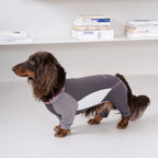Cooling Full-body Dog Sunsuit