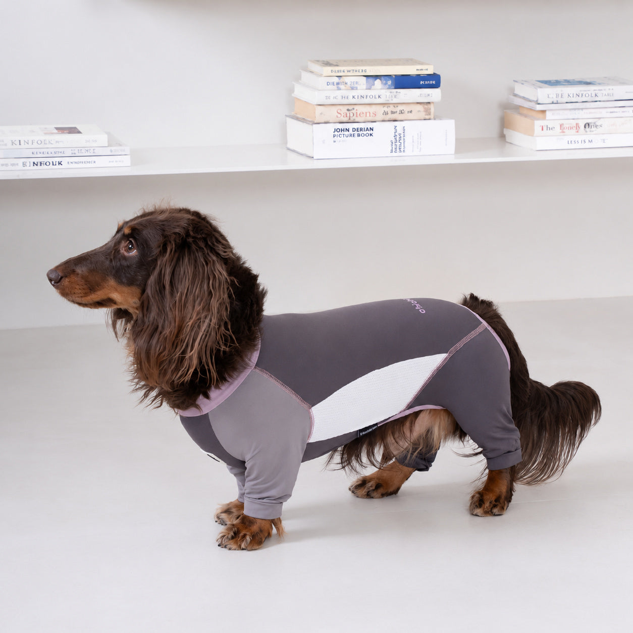 Cooling Full-body Dog Sunsuit