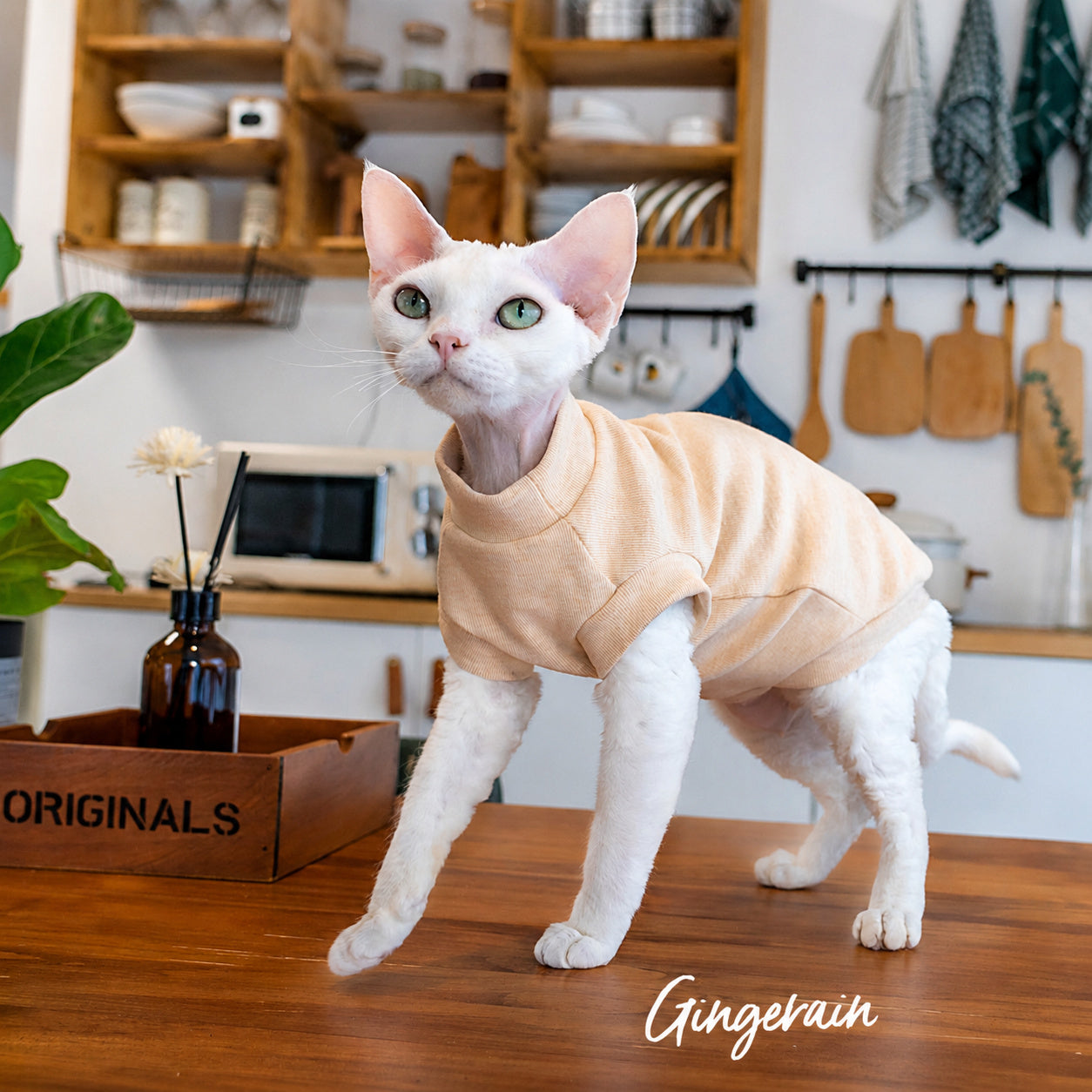 Hypoallergenic Pastel Cat Vest