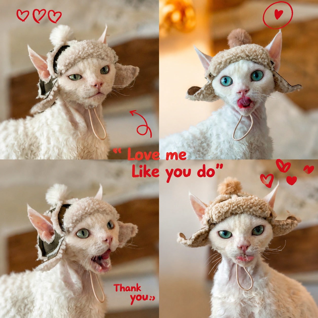 Sherpa Aviator Cat Hat