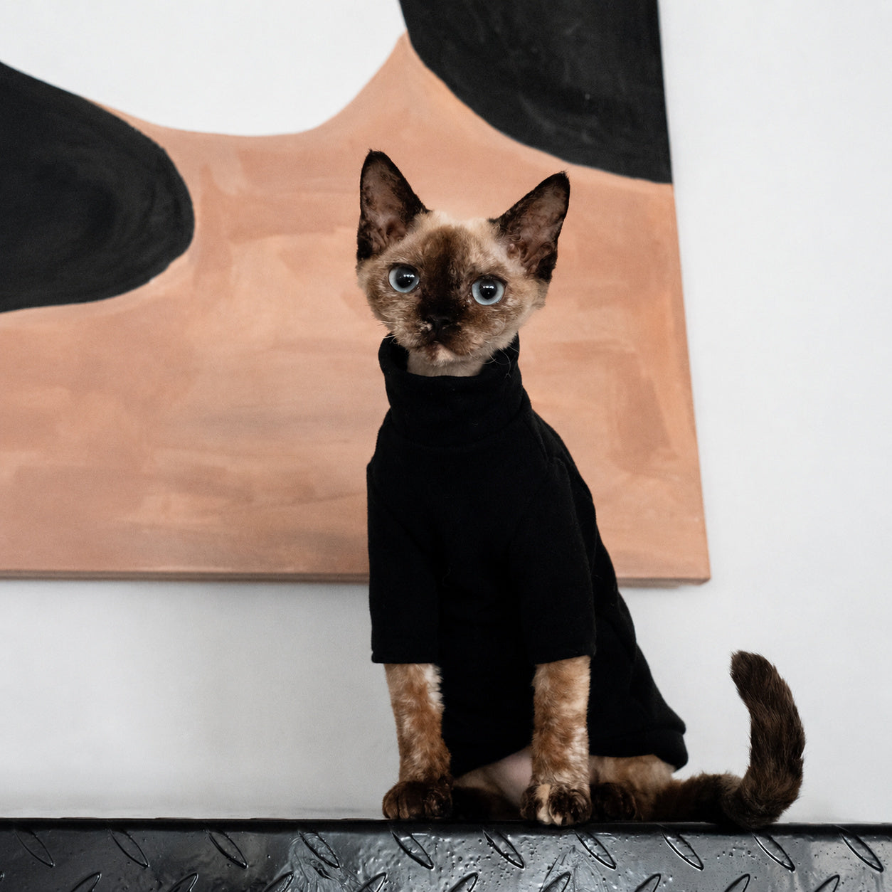 Thermal Turtleneck Cat Sweater