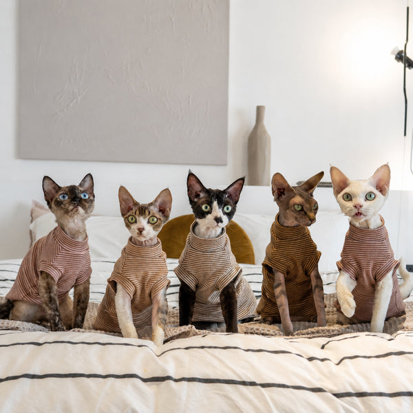 Brushed-cotton Stripe Cat Vest