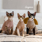 Brushed-cotton Stripe Cat Vest