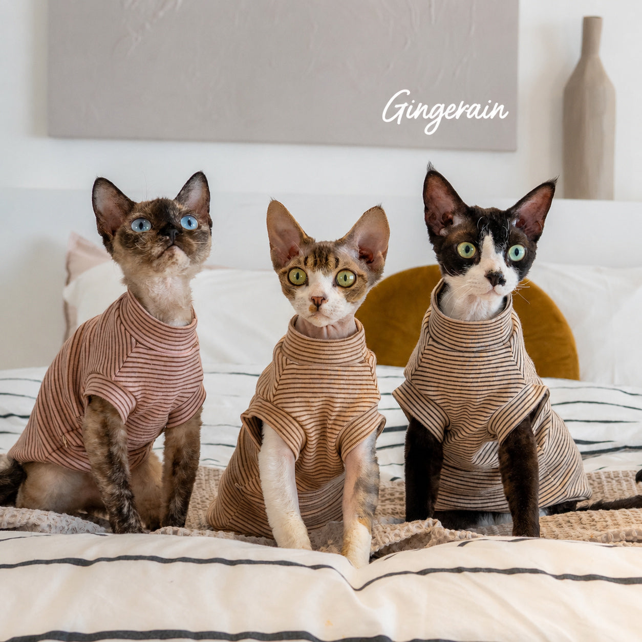 Brushed-cotton Stripe Cat Vest