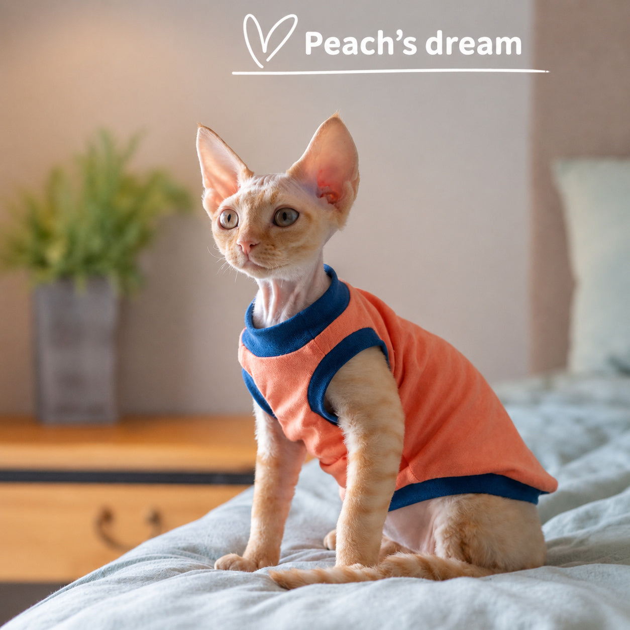 Cotton Tank For Hairless Cats