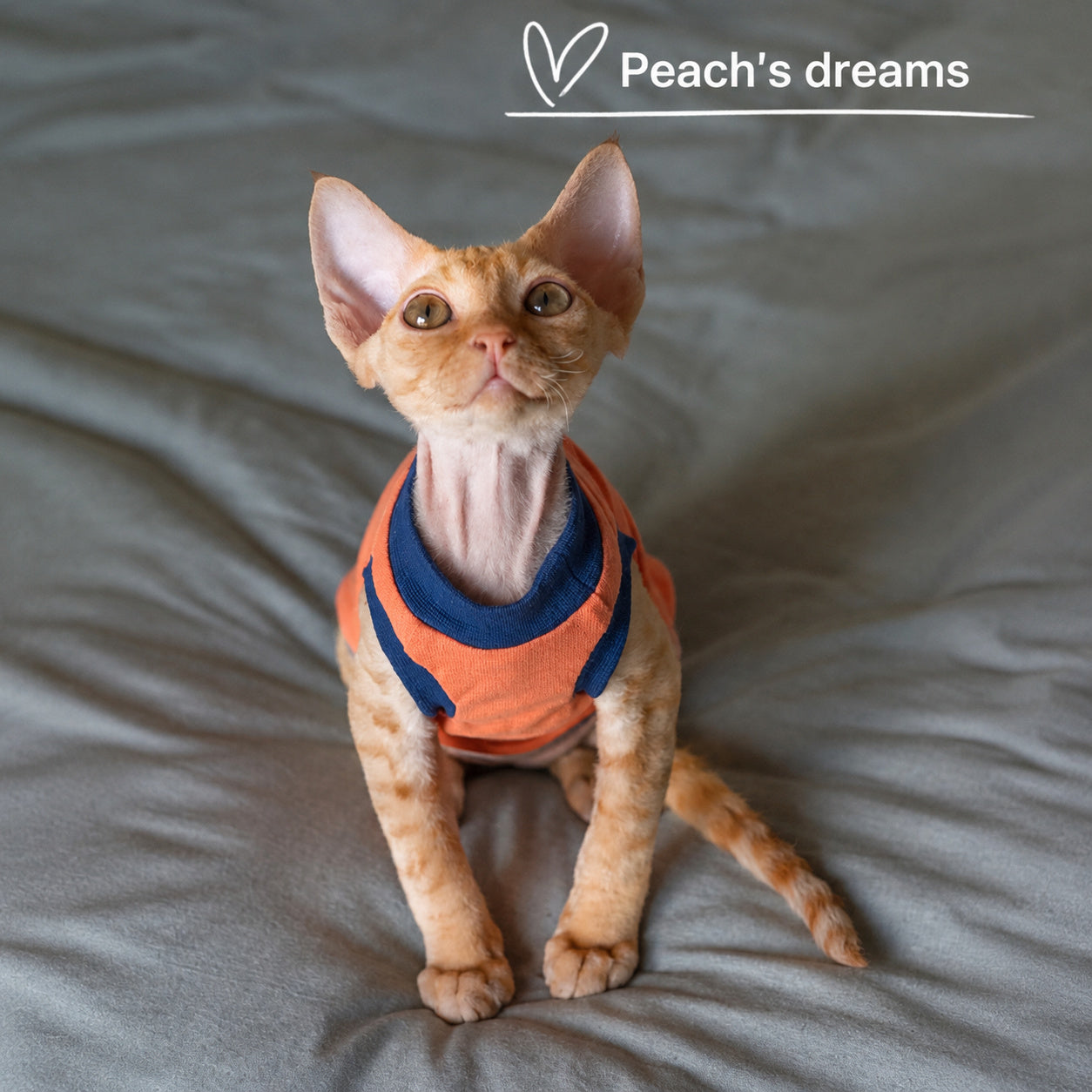 Cotton Tank For Hairless Cats