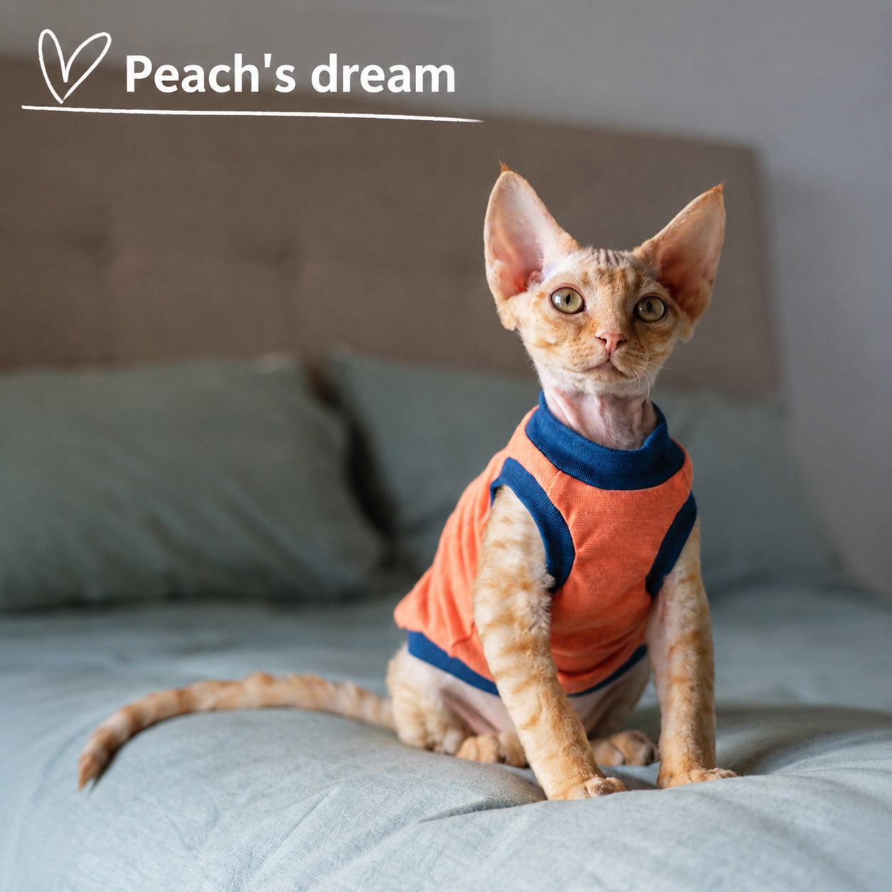 Cotton Tank For Hairless Cats