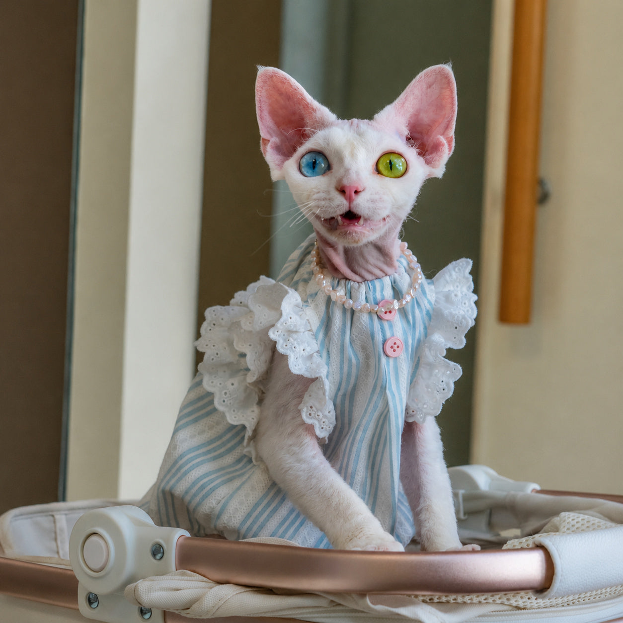 Cotton Ruffle Cat Vest