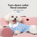 Preppy Knit Pet Sweater