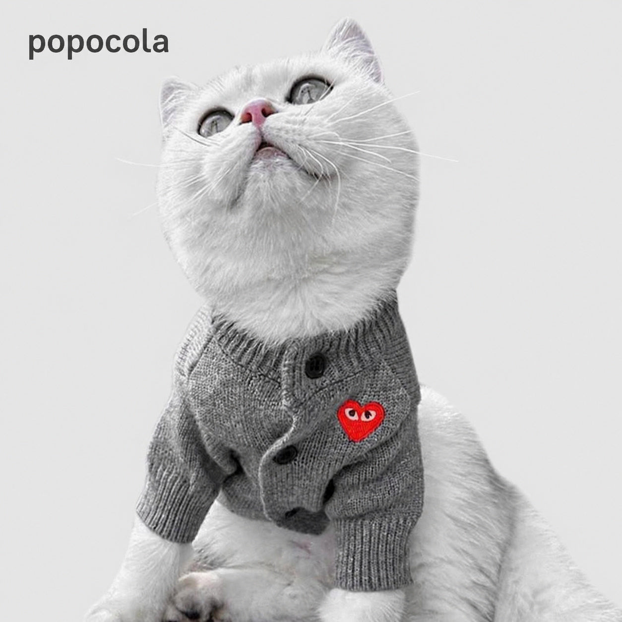 Knit Heart-eyes Pet Cardigan