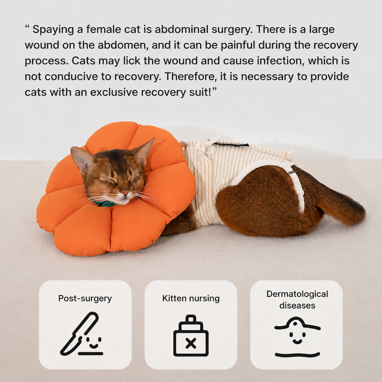 Cotton Recovery Suit