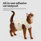 Breathable Recovery Bodysuit Cat
