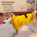 Lightweight Raincoat With Hood