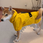 Lightweight Raincoat With Hood