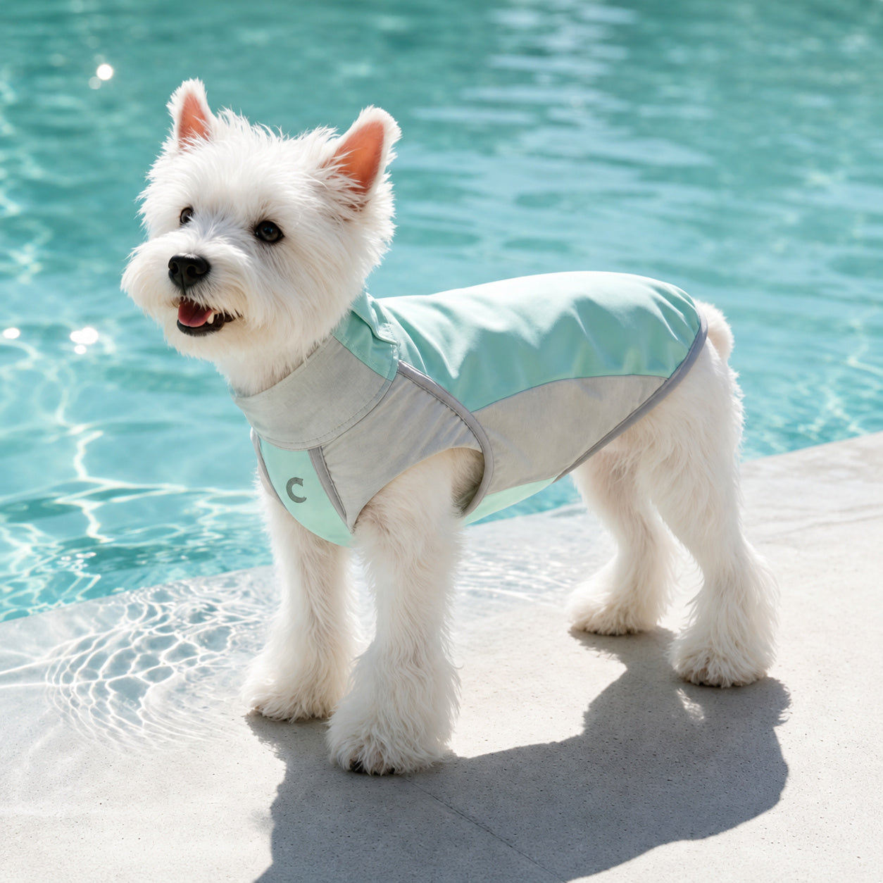 Double-cooling Dog Cooling Vest