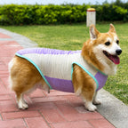 Ice-Silk Cooling Dog Vest