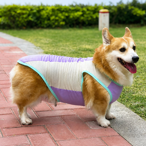 Ice-Silk Cooling Dog Vest