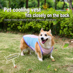 Ice-Silk Cooling Dog Vest