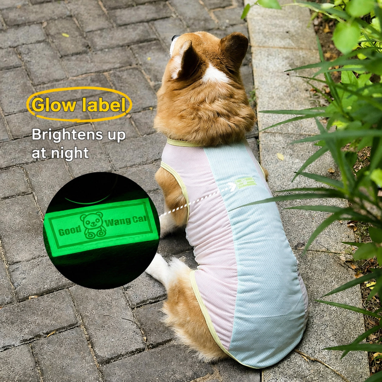 Ice-Silk Cooling Dog Vest
