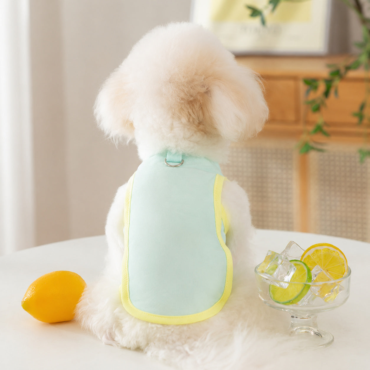Ice-silk Cooling Pet Vest