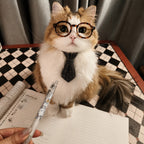 Plaid Cat Collar