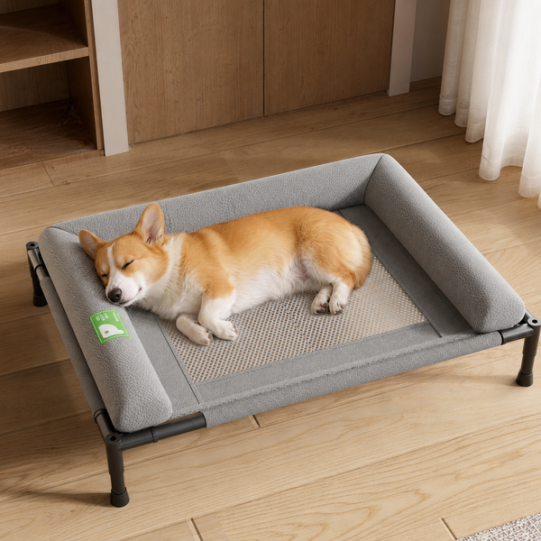 Elevated Mesh Dog Cot