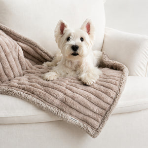 Reversible Sherpa Pet Blanket