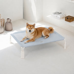 Elevated Dog Cot Breezy
