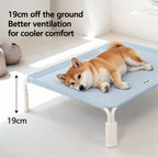 Elevated Dog Cot Breezy