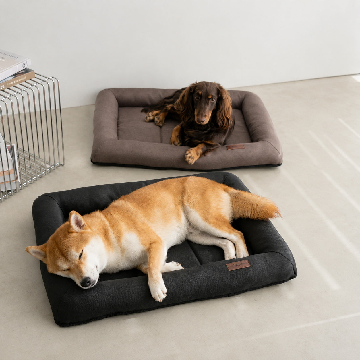 All-Season Waterproof Dog Mat