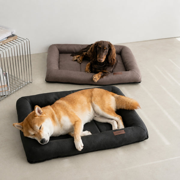 All-Season Waterproof Dog Mat