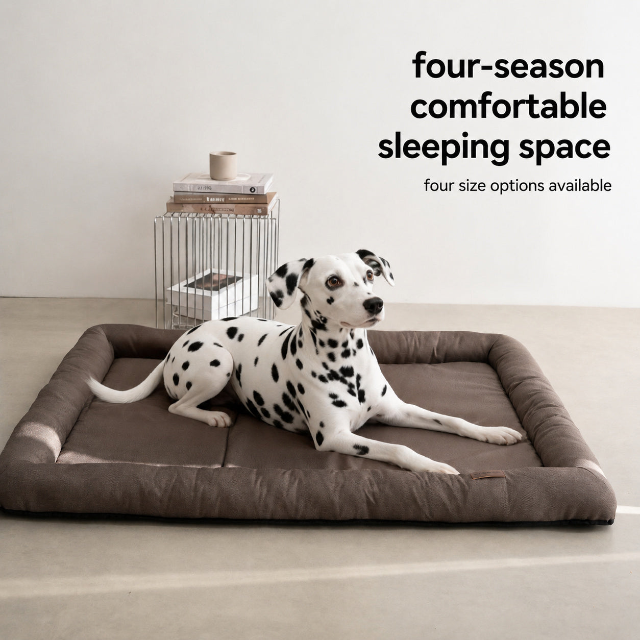 All-Season Waterproof Dog Mat