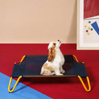 Elevated Cot With Mesh Base