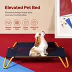 Elevated Cot With Mesh Base
